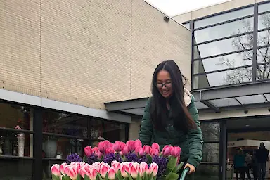 Jenny Jia – BDA Partners