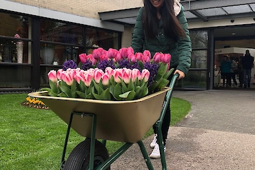 Jenny Jia – BDA Partners image 1 of 3 